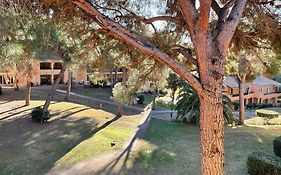 Bel Appartement Vue Sur Parc 1 Chambre Fermee Et 1 Espace Cabine